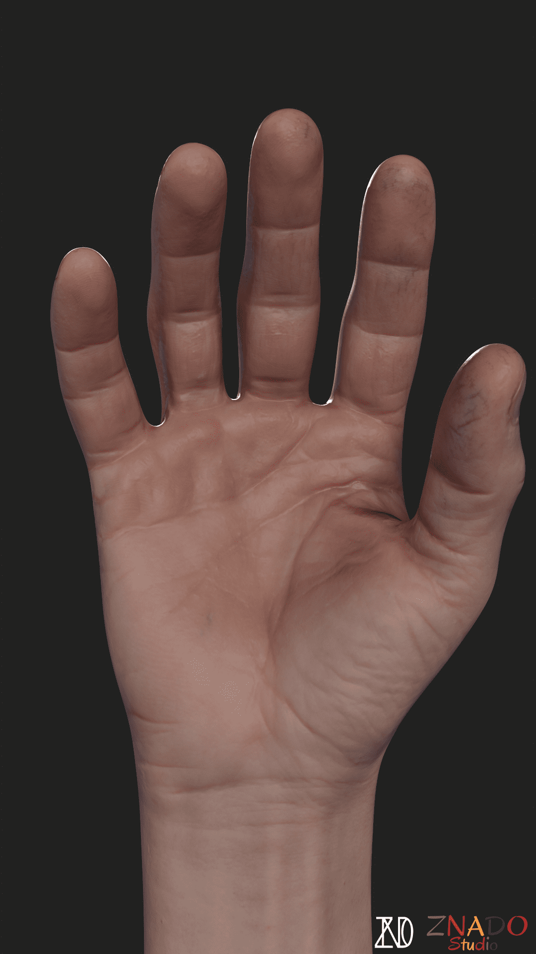 Realistic Hand Scan Mesh for VR Games - PBR Ready